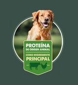Nómade Cachorro Todas las Razas 10 kg