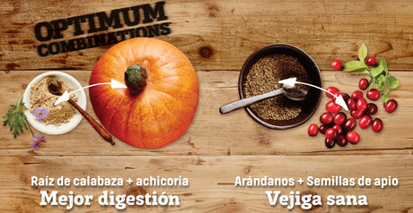 Comida para Gatos Nutram I12 Ideal Solution Support 5 4Kg