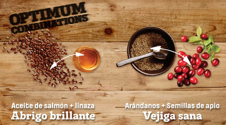 Comida para Gatos Nutram I17 Ideal Solution Support 1 13Kg