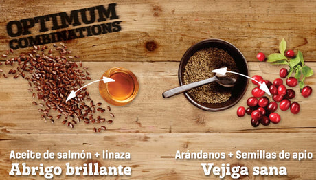 Comida para Gatos Nutram S5 Sound Balanced Wellness 1 13Kg
