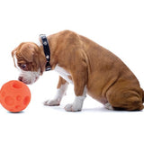  Omega Paw Pelota Para Golosinas Small