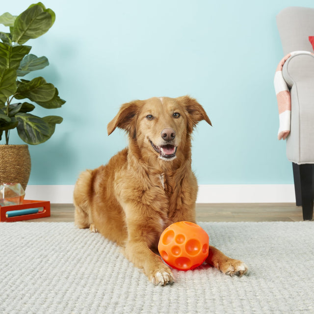  Omega Paw Pelota Para Golosinas Small