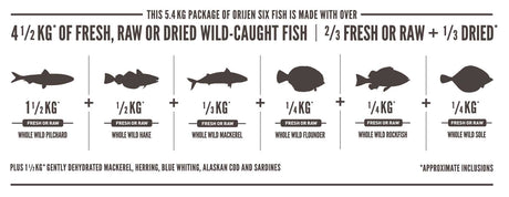 Orijen Cat Six Fish 5 5Kg