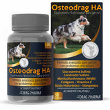 Osteodrag Ha 30 Comprimidos