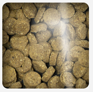 Oven Baked Dog Grain Free Chicken Pumpkin Treats 227Gr