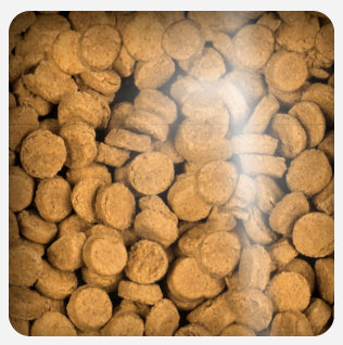 Oven Baked Dog Liver Treats 227Gr