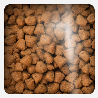 Oven Baked Cat Grain Free Chicken 2 27Kg