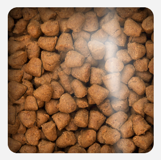 Oven Baked Cat Grain Free Duck 4 54Kg