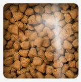 Oven Baked Cat Grain Free Fish 2 27Kg