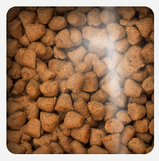 Oven Baked Cat Grain Free Fish 4 54Kg