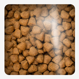 Oven Baked Cat Traditional Adult Chicken 4 54Kg