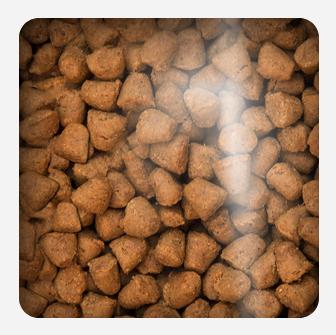 Oven Baked Cat Traditional Adult Chicken 4 54Kg