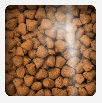 Oven Baked Cat Traditional Adult Fish 4 54Kg