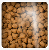 Oven Baked Cat Traditional Kitten Chicken 2 27Kg