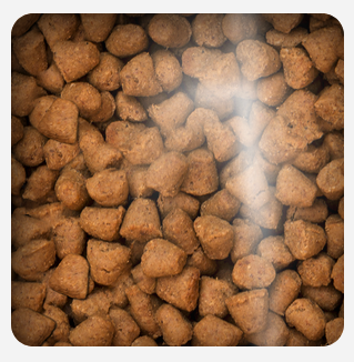 Oven Baked Cat Traditional Kitten Chicken 2 27Kg