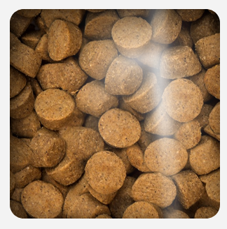 Oven Baked Dog Grain Free Duck All Breed 10 43Kg
