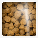 Oven Baked Dog Traditional Adult Fish All Breed 11 34Kg