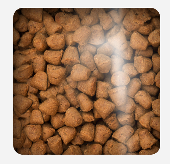 Oven Baked Dog Traditional Adult Fish Small Breed 2 27Kg