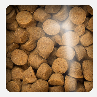 Oven Baked Dog Traditional Chicken Adult All Breed 11 34Kg