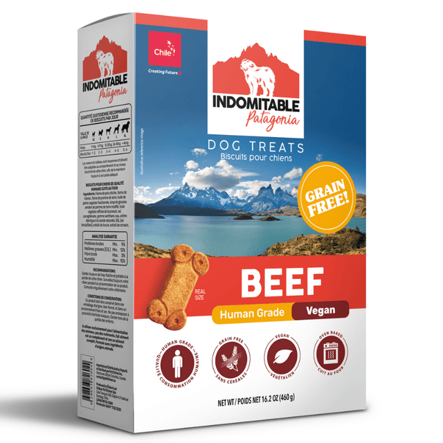  Indomitable Perro Galletas Horneadas Grain Free Beef 460 Gr