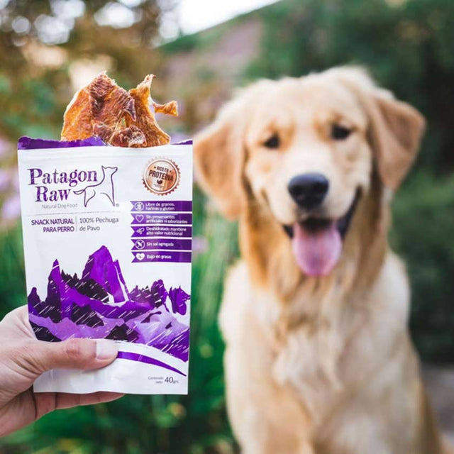  Patagon Raw Para Perros Sabor Pechuga De Pavo 40Gr