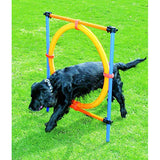  Pawise Agility Aro