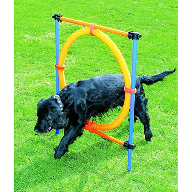  Pawise Agility Aro