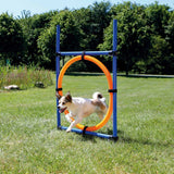  Pawise Agility Aro