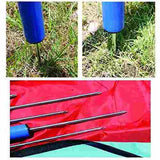  Pawise Agility Aro
