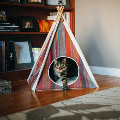 Accesorios para Gatos Play Carpa Horizont