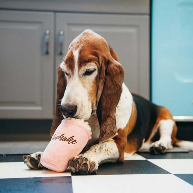 Play Dog American Classic Milkshake