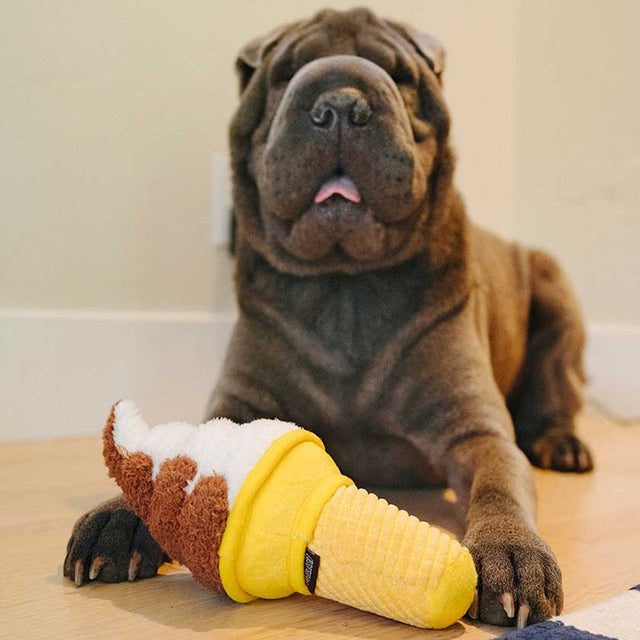 Play Dog Snacks
