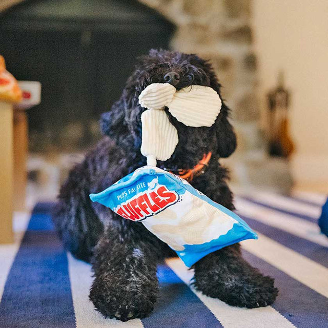 Play Dog Snacks
