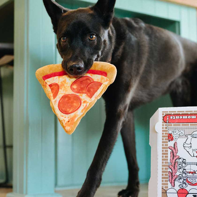 Play Dog Snacks