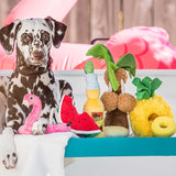  Play Dog Tropical