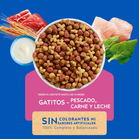 Purina Cat Chow Gatitos 3Kg