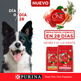  Purina® One® Adulto Mediano Y Grande Pollo Y Cordero 6Kg