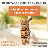 Purina One Pouch Gato Adulto Esterilizado Sabor Carne 85Gr