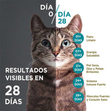 Purina One Pouch Gatos Adultos Y Gatitos Sabor Salmon Atun Y Pescado 85Gr