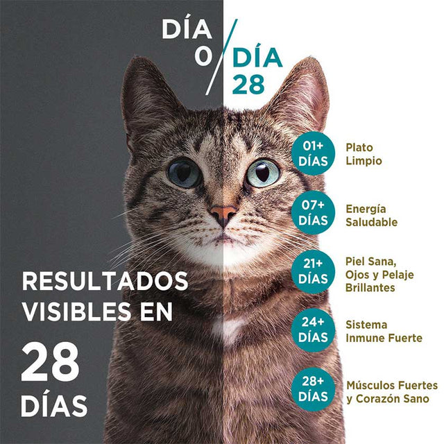 Purina One Pouch Gatos Adultos Y Gatitos Sabor Salmon Atun Y Pescado 85Gr