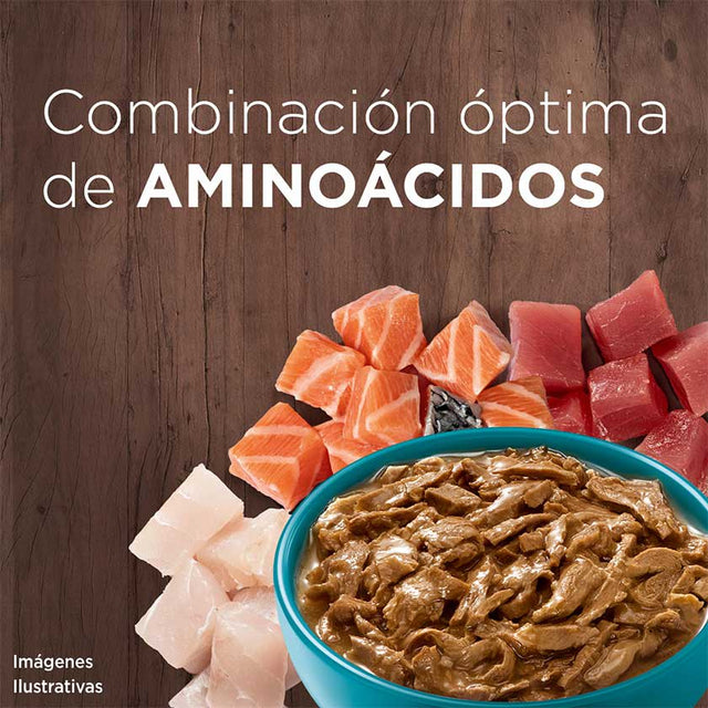 Purina One Pouch Gatos Adultos Y Gatitos Sabor Salmon Atun Y Pescado 85Gr