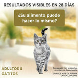 Purina One Pouch Gatos Adultos Y Gatitos Sabor Salmon Atun Y Pescado 85Gr