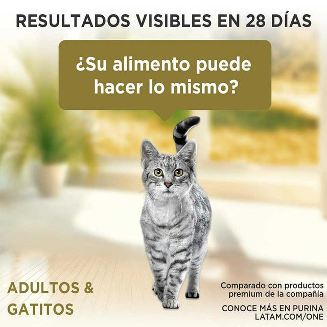 Purina One Pouch Gatos Adultos Y Gatitos Sabor Salmon Atun Y Pescado 85Gr