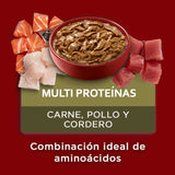 Purina One Pouch Perros Adultos Y Cachorros Sabor Carne Pollo Y Cordero 85Gr
