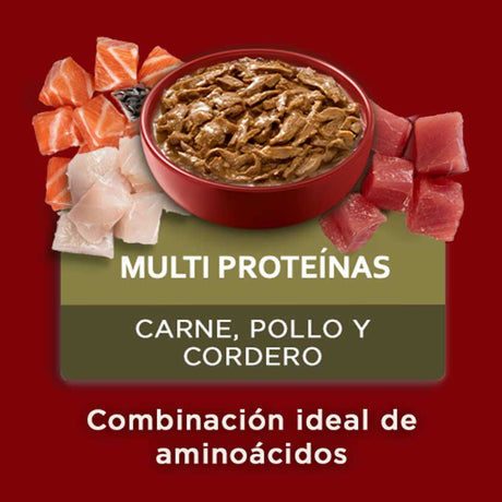 Purina One Pouch Perros Adultos Y Cachorros Sabor Carne Pollo Y Cordero 85Gr