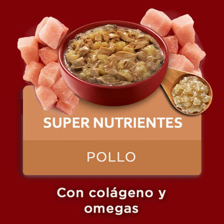 Purina One Pouch Perros Adultos Y Cachorros Sabor Pollo 85Gr Pack 15 Unidades