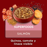 Purina One Pouch Perros Adultos Y Cachorros Sabor Salmon 85Gr Pack 15 Unidades