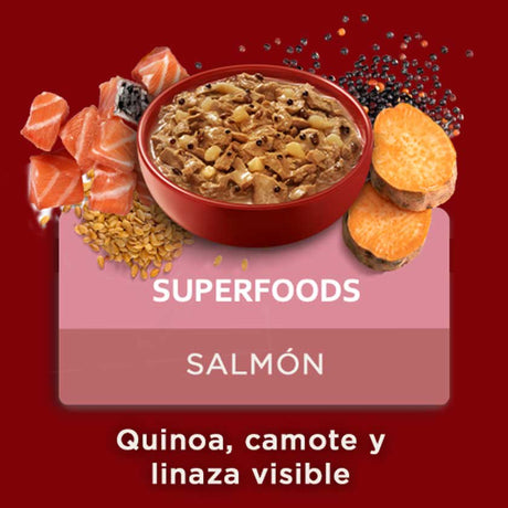 Purina One Pouch Perros Adultos Y Cachorros Sabor Salmon 85Gr Pack 15 Unidades