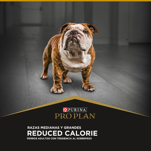  Purina Pro Plan Adulto Raza Mediana Y Grande Reduced Calorie 12 Kg