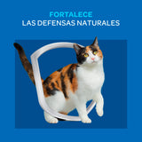 Purina Cat Chow Adultos Delimix Con Defense Plus 8Kg